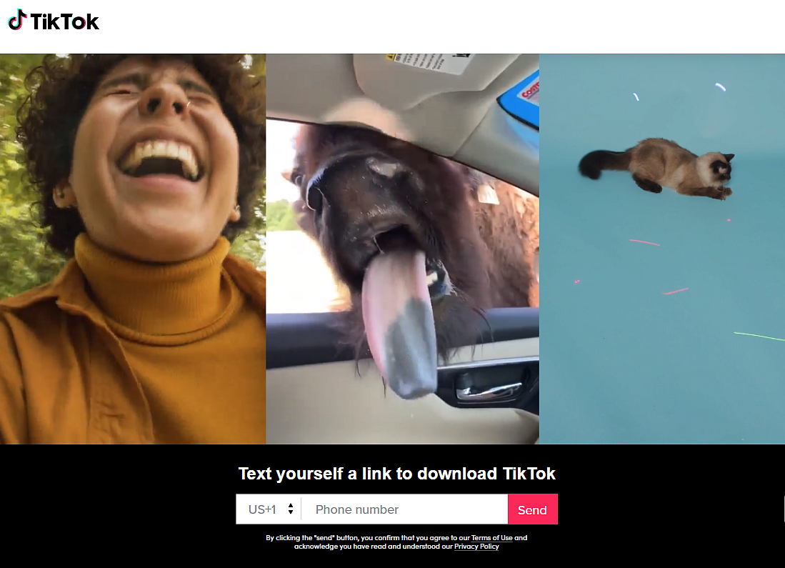You can get link to download TikTok from here.