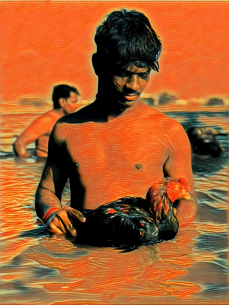 Jayakumar and his fighter cock.
