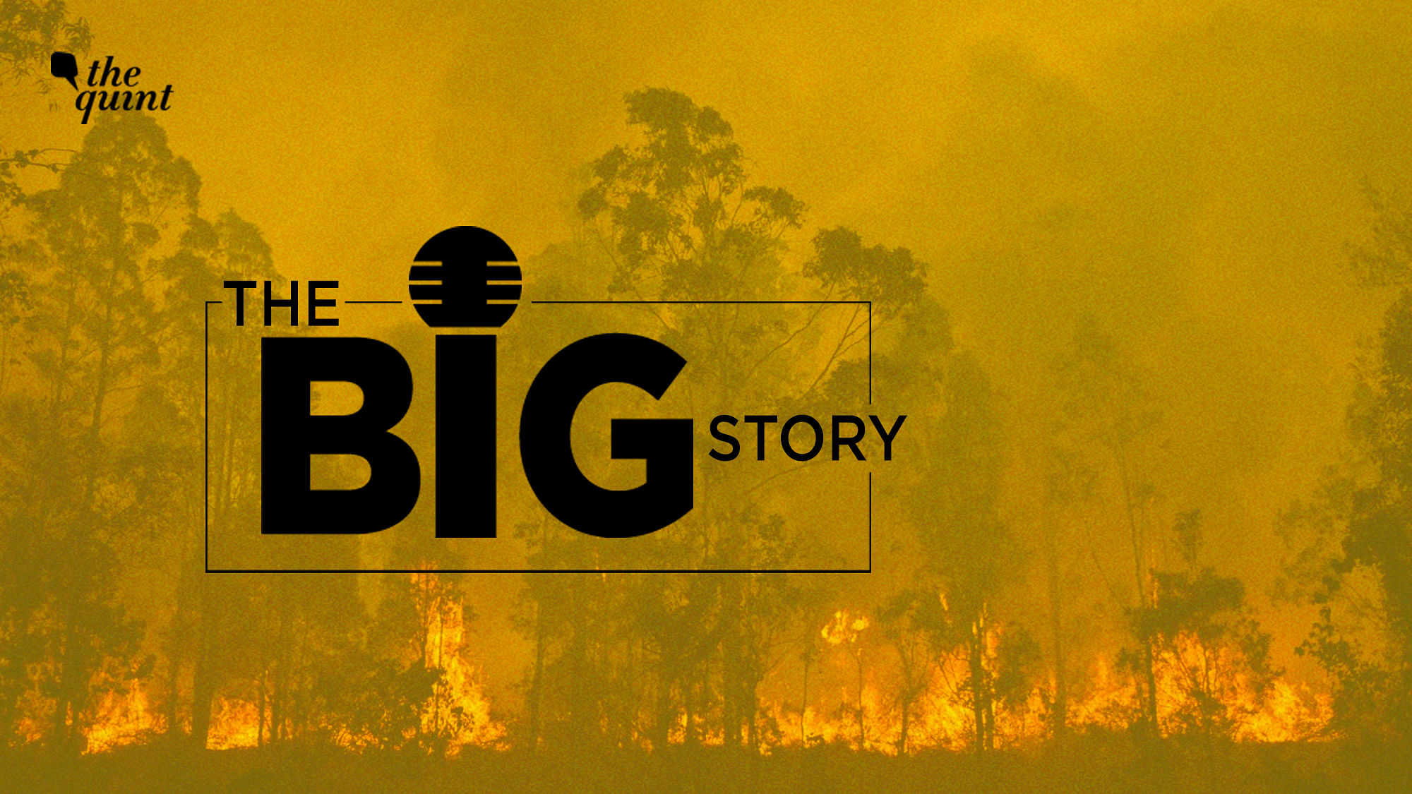 How are forest fires impacting the planet at large?