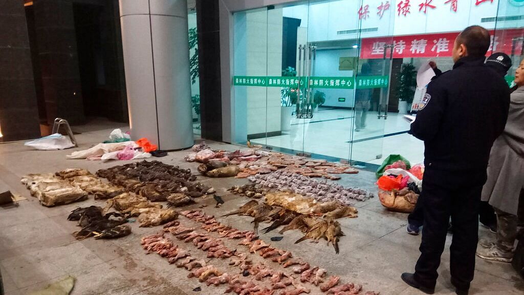 In this Jan. 9, 2020, file photo provided by the Anti-Poaching Special Squad, police look at items seized from store suspected of trafficking wildlife in Guangde city in central China&apos;s Anhui Province.