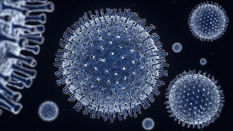 Artificial ecosystems complement other research approaches that identify viruses and their properties