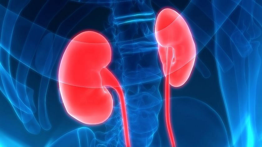 Chronic kidney disease killing over 1mn people worldwide