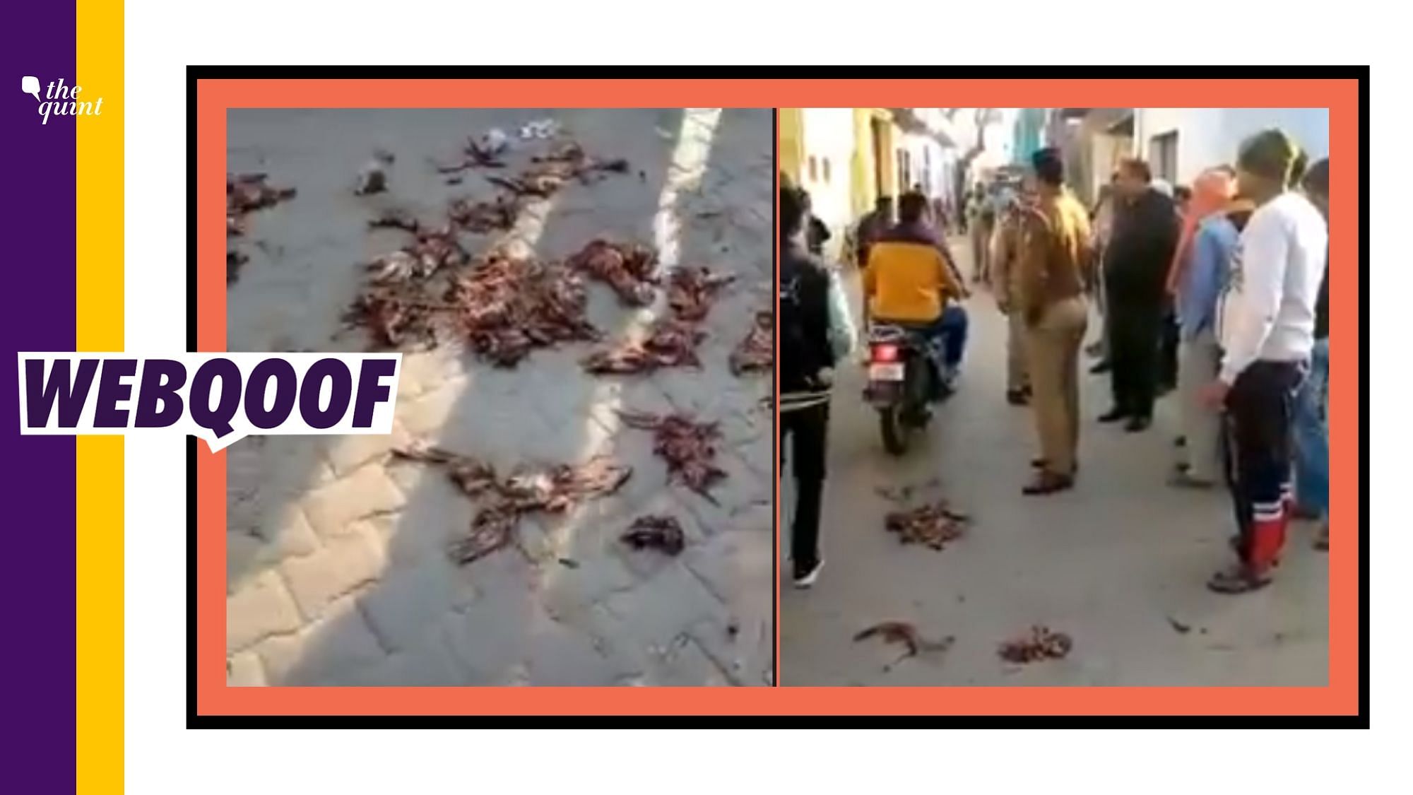 A viral video falsely claimed that Muslims threw pieces of meat near a Hindu temple in Uttar Pradesh’s Hathras.