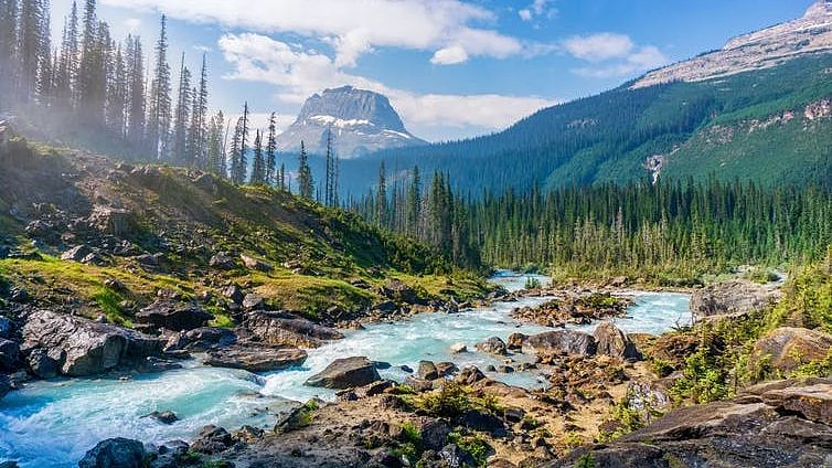 Past ideas of ‘sublime’ nature have bled into the landscapes we protect today