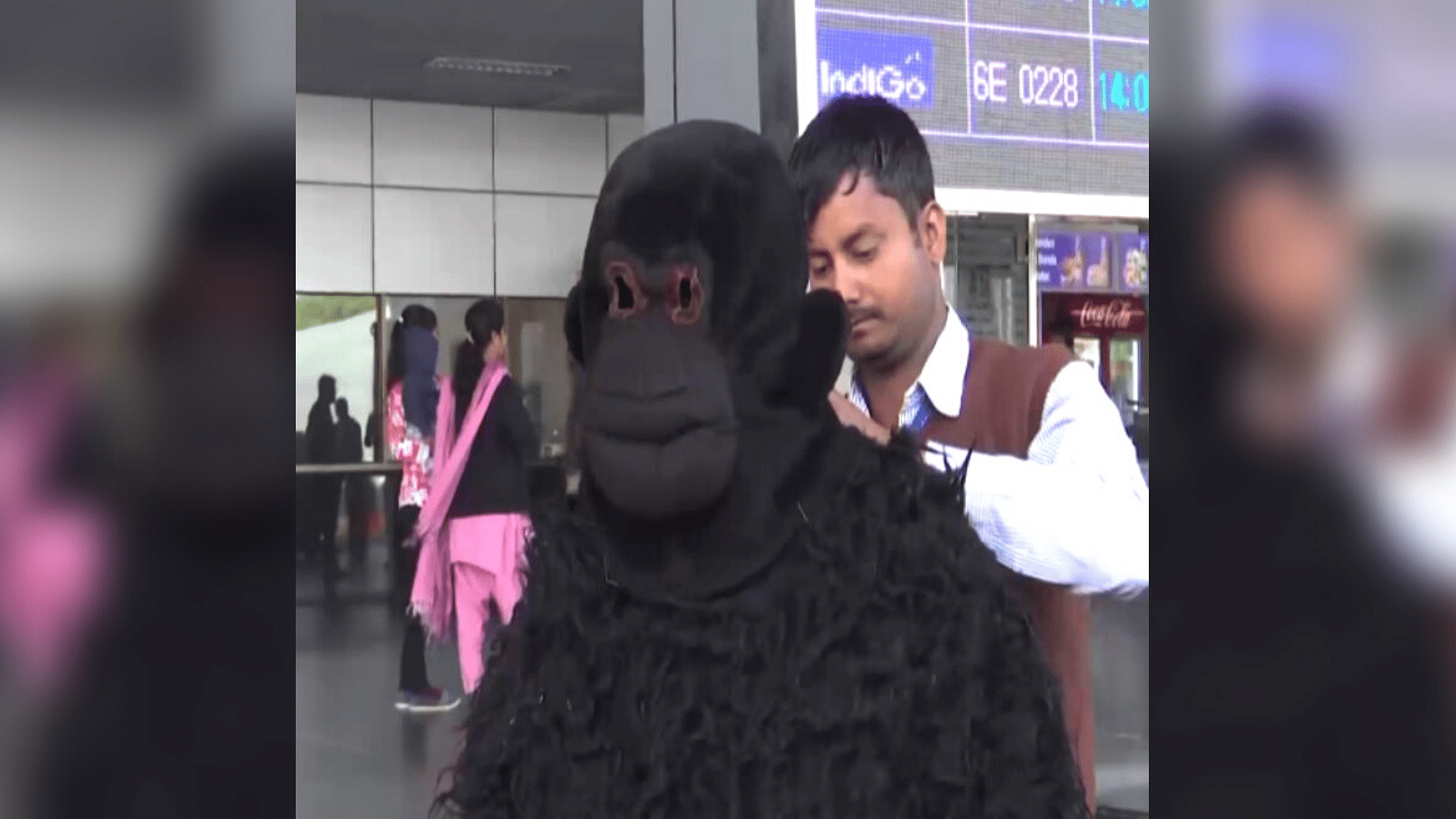 The video shows Kapdi in a bear costume, running from the runway to the ground, chasing away langurs.