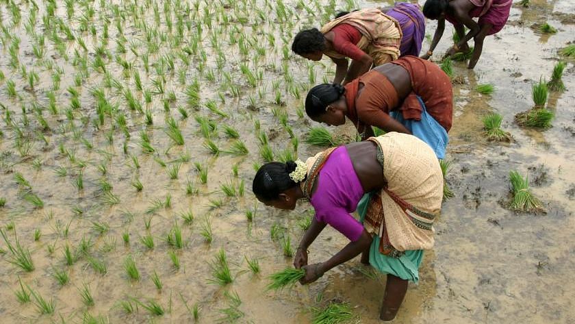 Why Women Are Our Best Bet to Tackle India’s Water Crisis