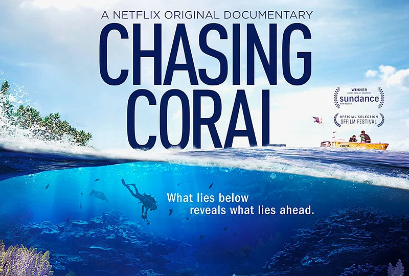 Virus Hunters to Minimalism: 10 Documentaries To Discover on OTT