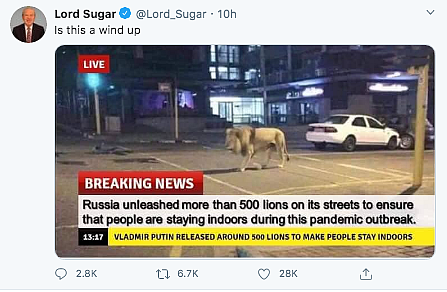 Russia Using Lions to Make People Stay Indoors? No, it’s Fake News