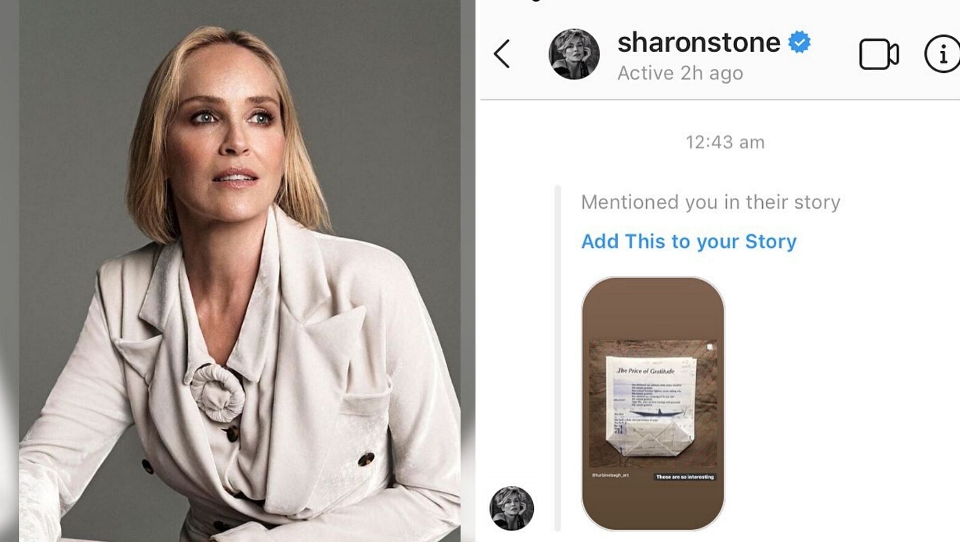 Sharon Stone shared a picture supporting a London protest in solidarity with India