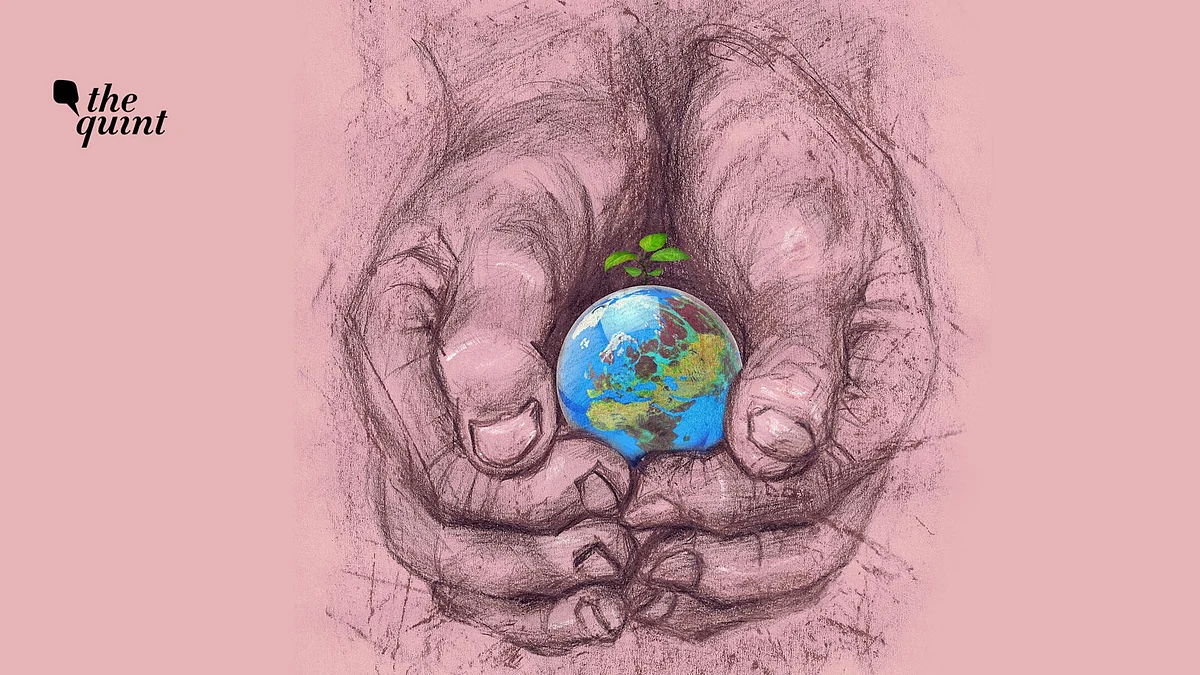 Image used for representational purposes.