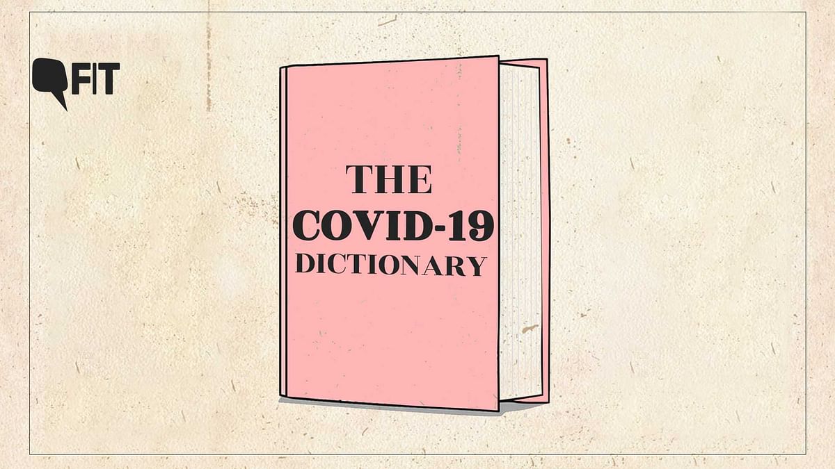 COVID-19 Dictionary: Words to Help You Understand the Pandemic