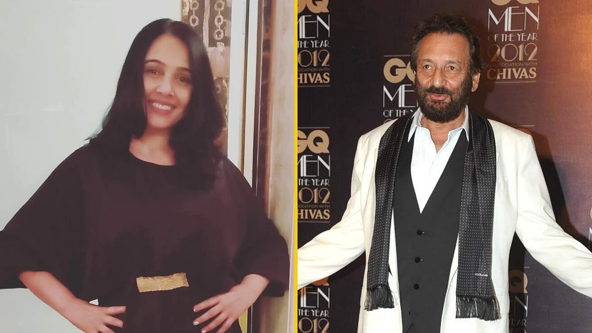 Suchitra Krishnamoorthi has filed a case against ex-husband Shekhar Kapur.