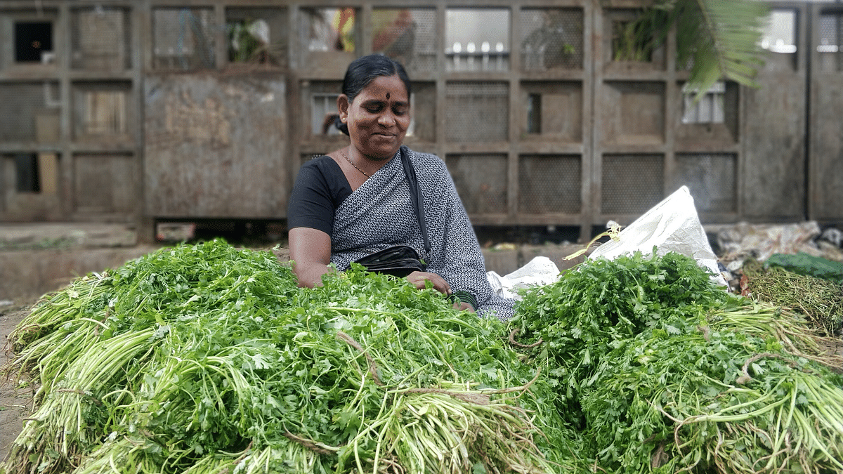 Jan Retail Inflation Declines To 4.06%, Vegetables Get Cheaper