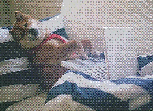 Don’t be that person, get off your bed. 