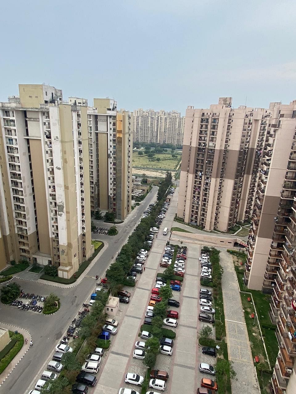 A housing society sector 137 in Noida under lockdown after one COVID-19 positive case.