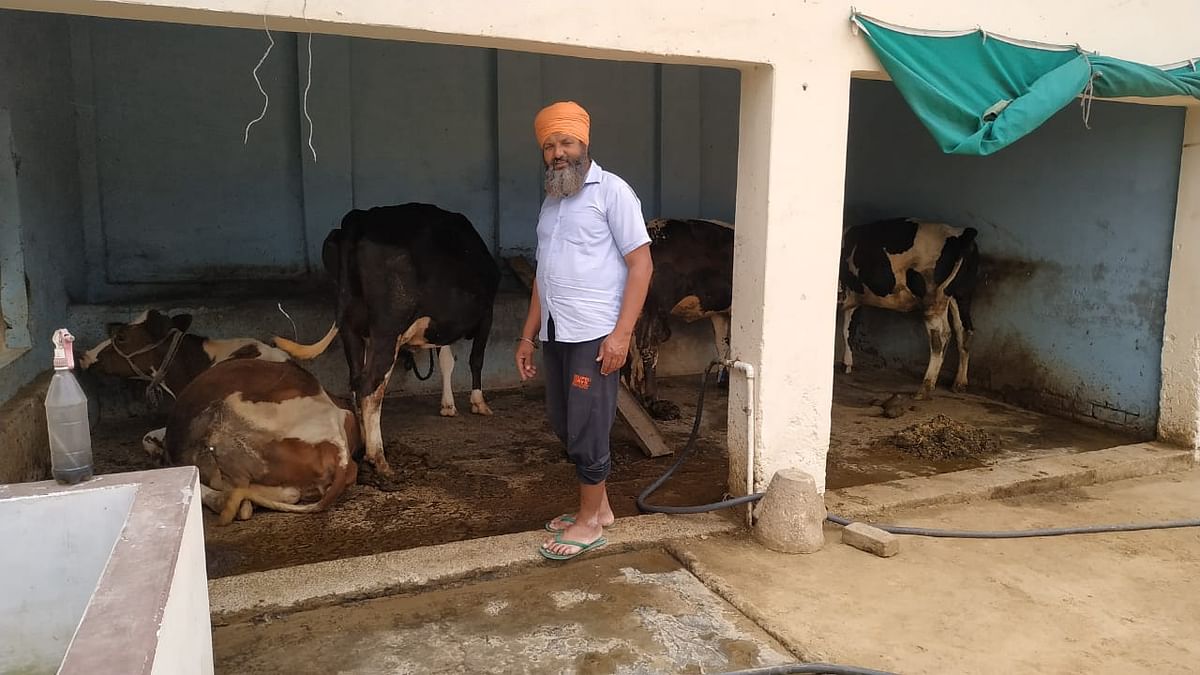 Bikkar Singh has a Rs 90,000 loan, one less cow than before, and two bhigas of land that may have to be sold too.