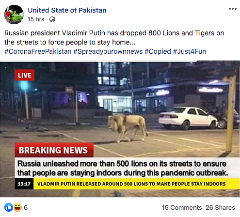 Russia Using Lions to Make People Stay Indoors? No, it’s Fake News