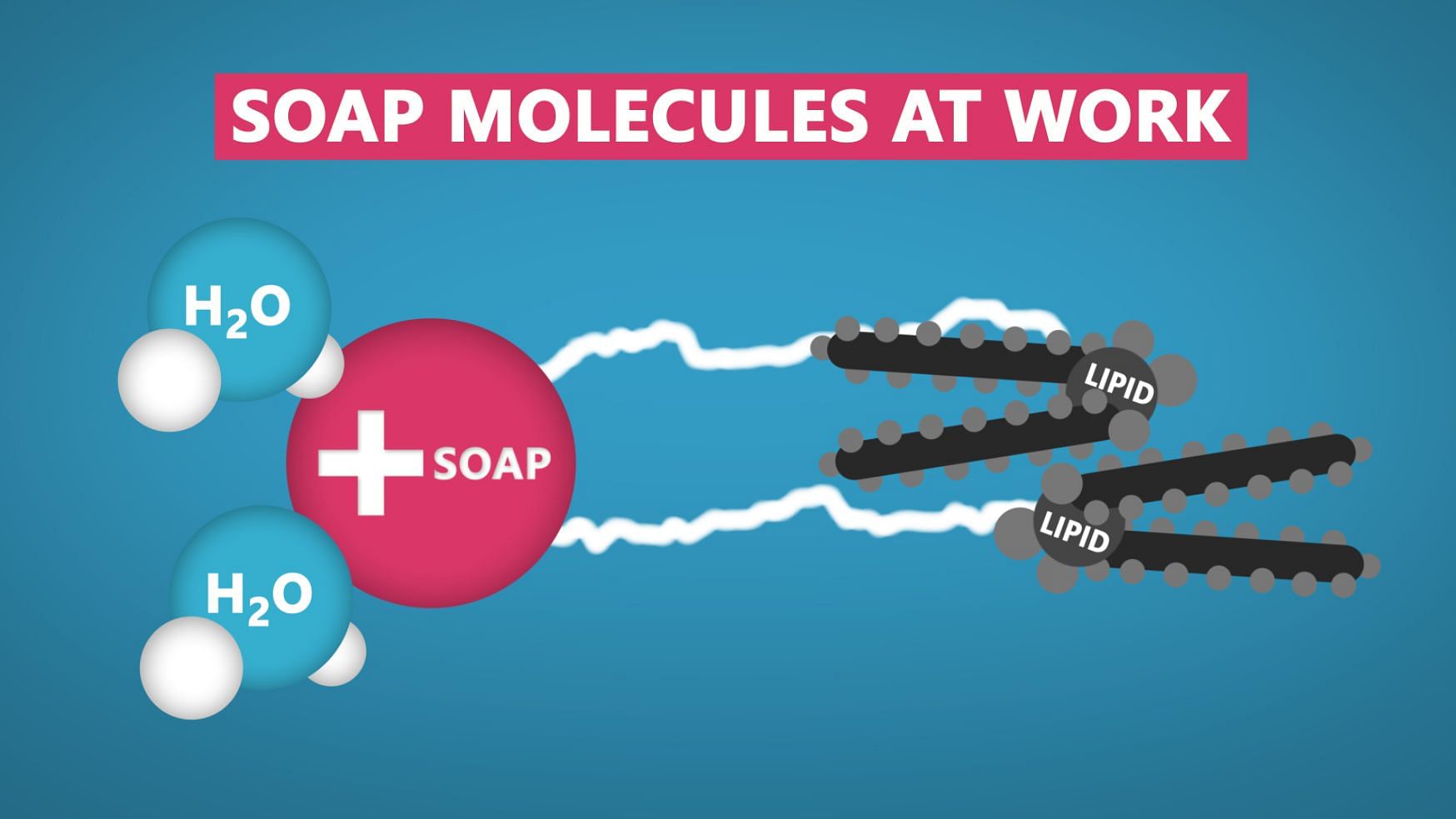 A soap molecule.&nbsp;