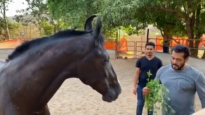 Salman Khan with his horse