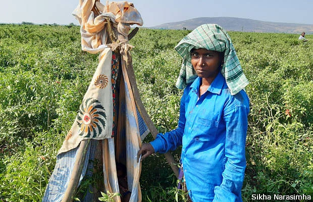 A young mother uses a makeshift cradle with sarees and sticks to shield her child from the heat in Andhra Pradesh’s Guntur district.
