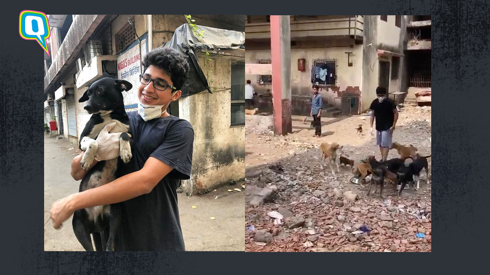 Sagun Bhatjiwale, a veterinary student from Mumbai feeding stray animals amid lockdown