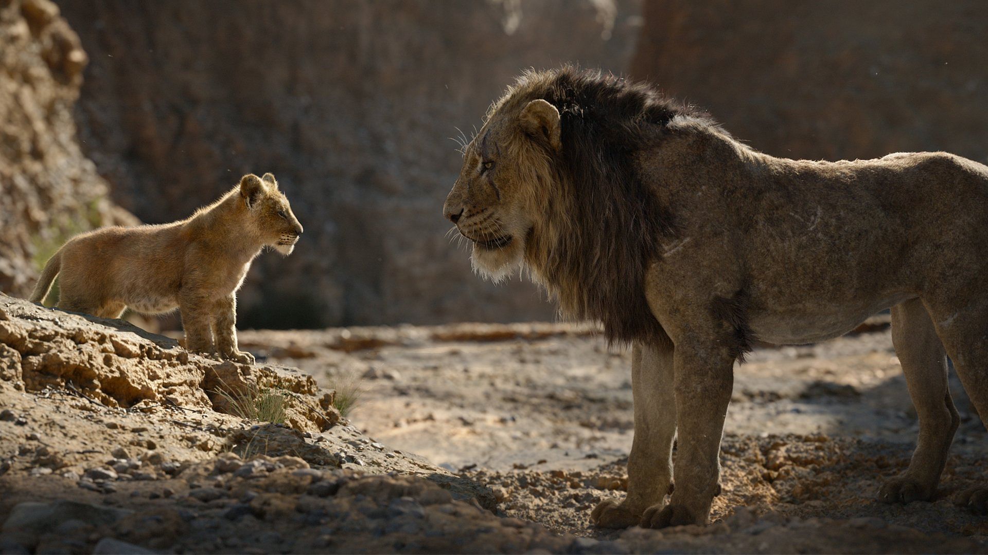 <i>The Lion King</i> premieres on Disney+ Hotstar on 2 April.&nbsp;
