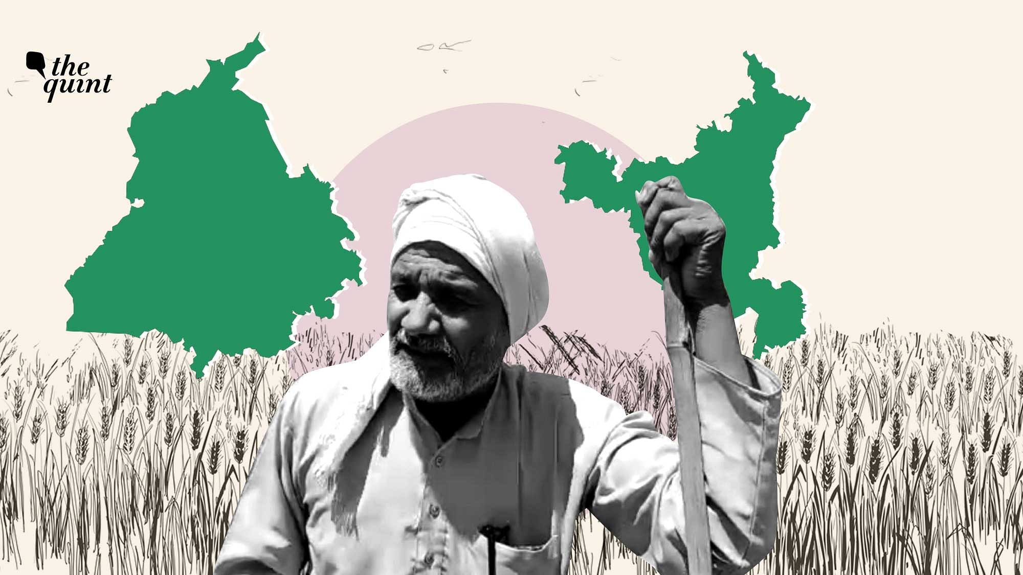 Wheat farmers in Haryana and Punjab stare at a massive crisis due to labour shortage following nationwide lockdown.