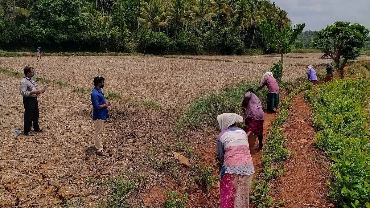 Ongoing canal renovation activities in Ponnani Block Panchayat of Malappuram District under Mahatma Gandhi NREGA , ensuring due safety protocols and maintaining social distancing.