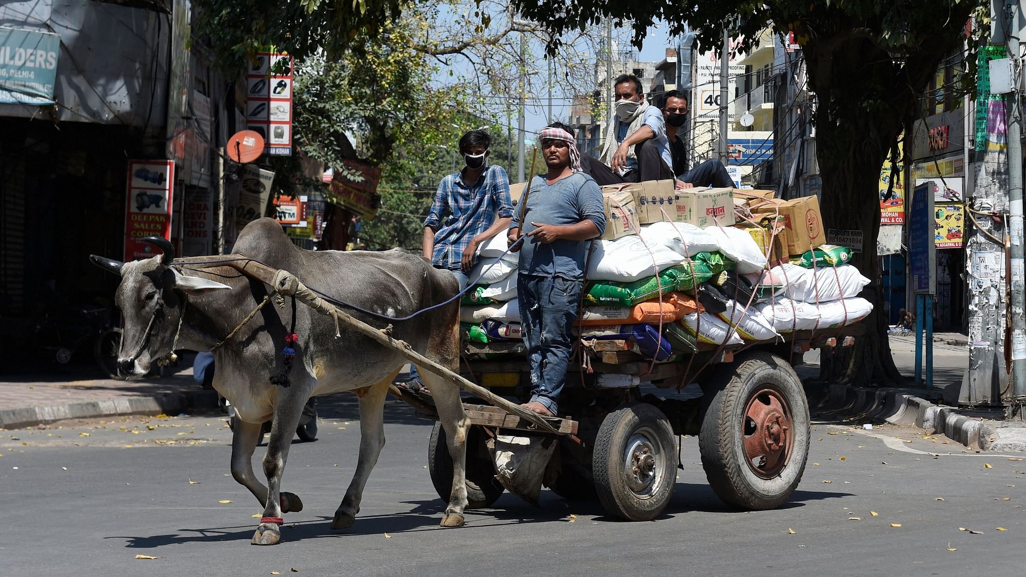File picture of Workers carry essentials on a bullock-cart during a nationwide lockdown imposed in the wake of coronavirus pandemic, in New Delhi.
