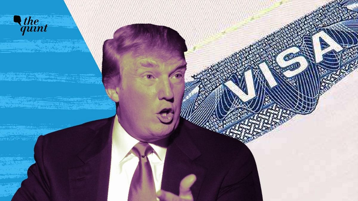 ‘Trump Exceeded Authority’: US Judge Blocks H-1B Visa Ban