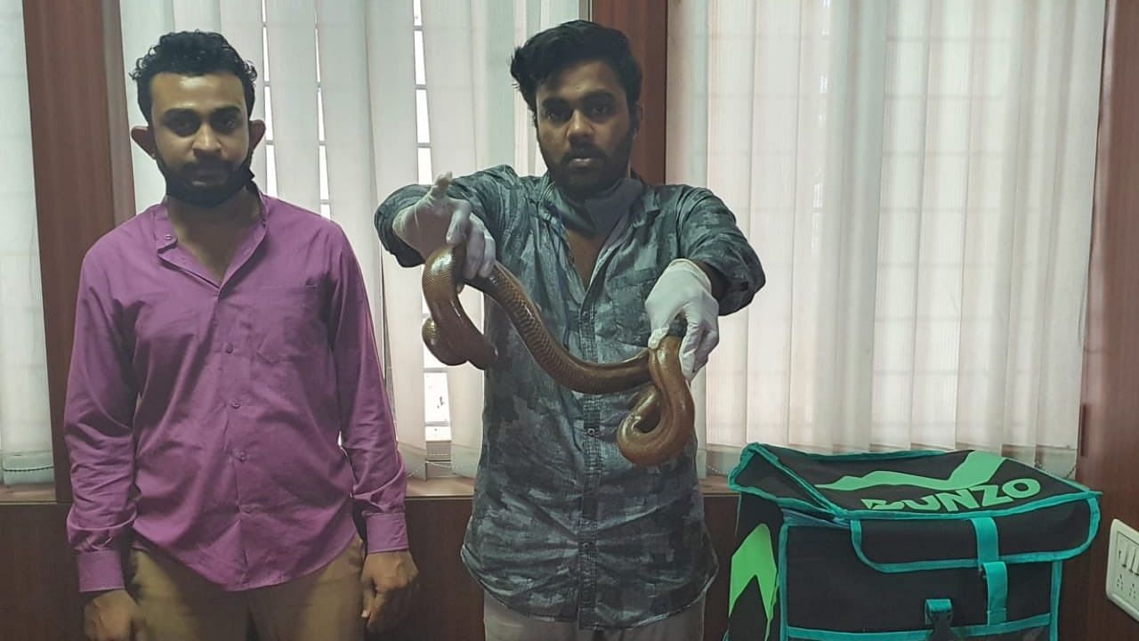 The Central Crime Branch arrested 2 men trying to sell a two-headed snake, disguised as delivery agents.