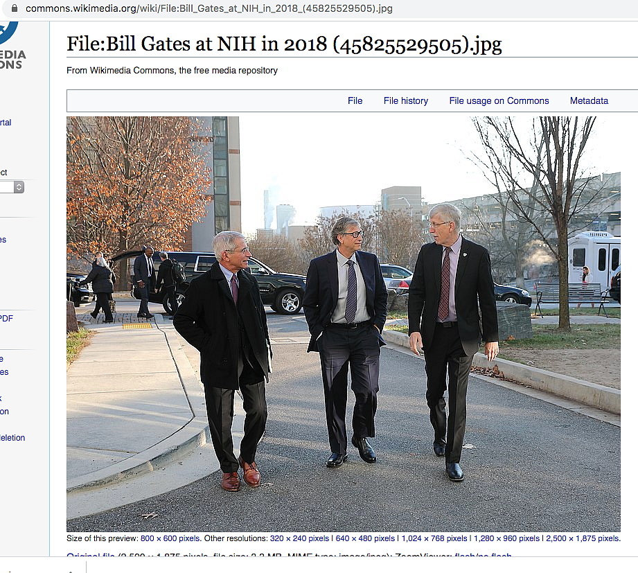 India Suing Bill Gates? No, Viral Facebook Post Makes False Claims