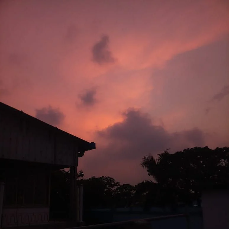 The Purple Hour