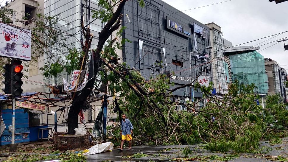 Residents of Kolkata woke up to sights of waterlogged streets, uprooted trees and damaged infrastructure.