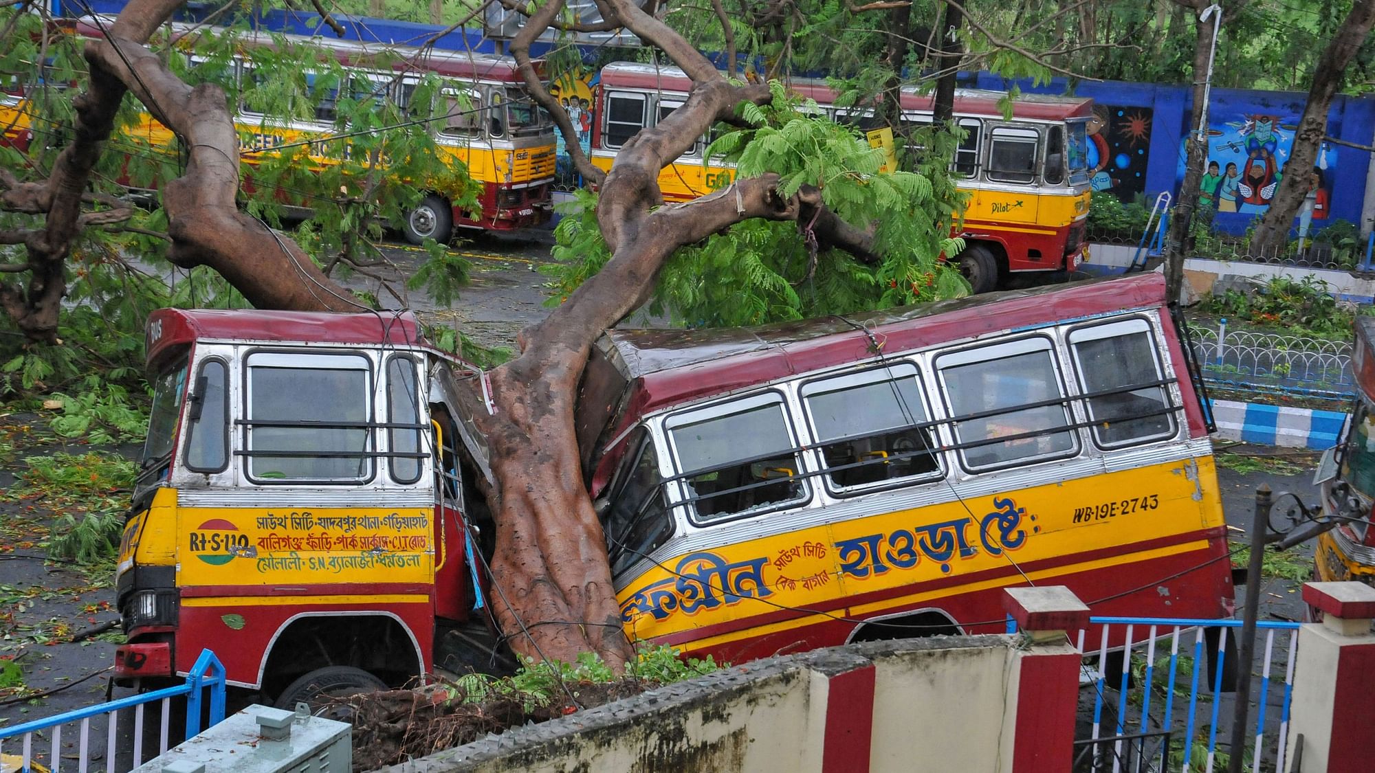 Mangled remains of a bus after a tree fell on it during Cyclone Amphan, in Kolkata, Thursday, May 21. Several other parts of West Bengal wore a battered look after the extremely severe cyclone Amphan ripped through the state, leaving at least 72 people dead.