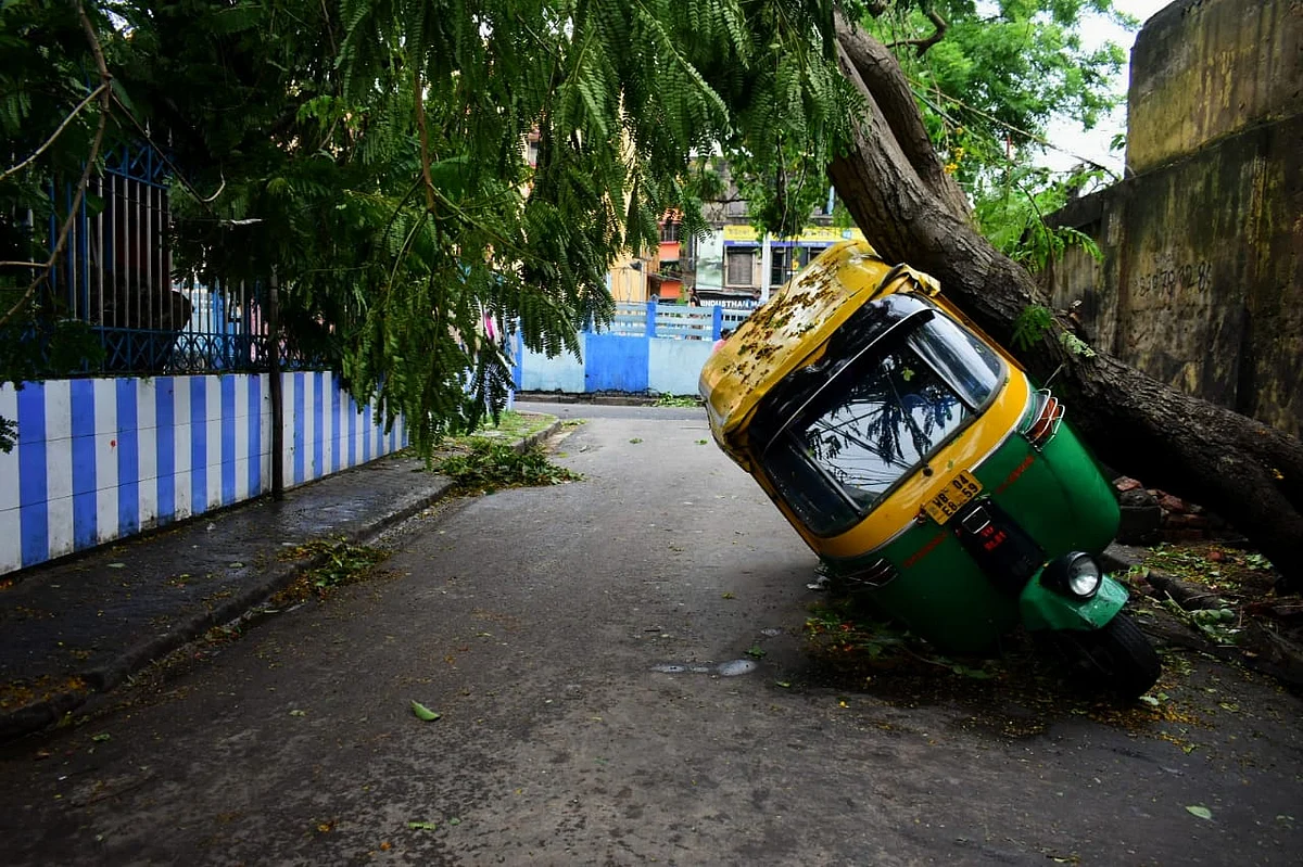 In the morning when I looked around, I saw mass destruction everywhere.