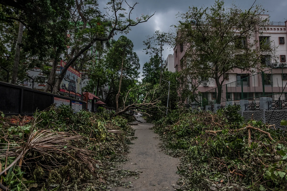 On 21 May morning, the cyclone left trail of destruction – fallen electric poles, uprooted trees, waterlogged streets etc.