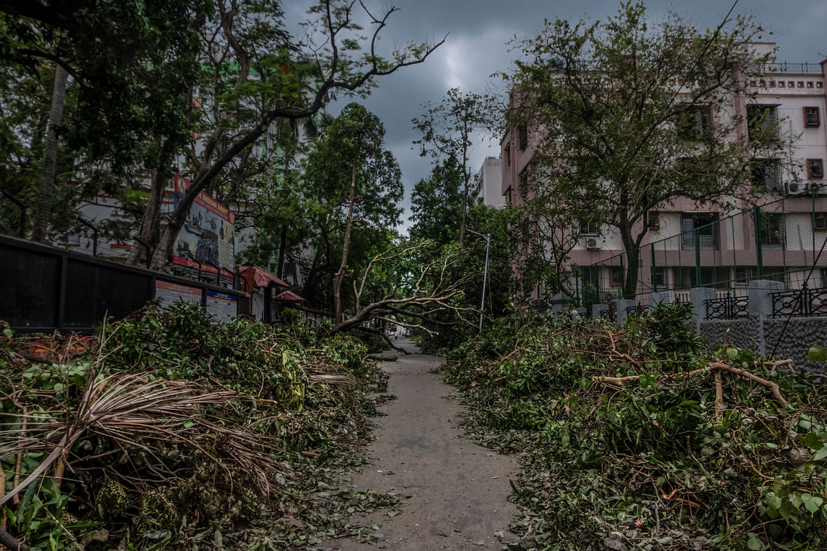 On 21 May, the cyclone left trail of destruction – fallen electric poles, uprooted trees, waterlogged streets etc.