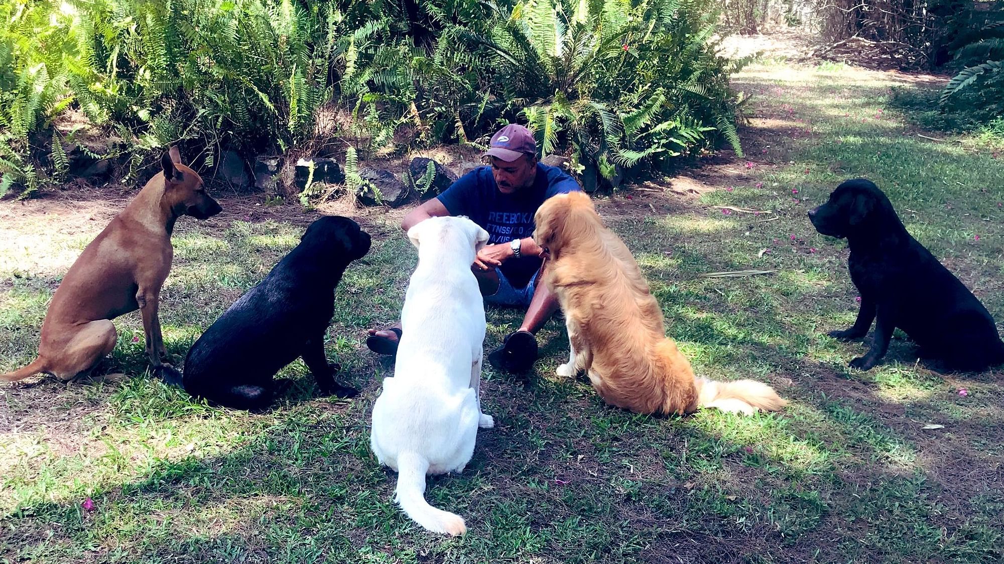 India head coach Ravi Shastri has been spending lockdown days with his pet dogs at home. 