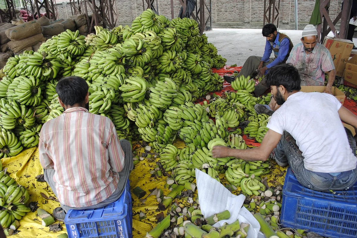 Srinagar city’s largest fruit and vegetable market in Parimpora, where a COVID-19 patient spent four days before being tested positive.