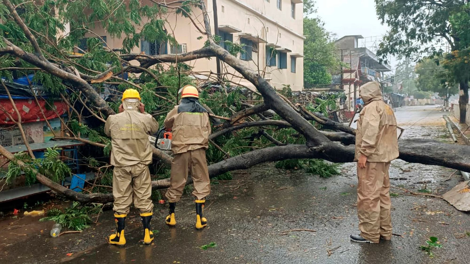 Road blockage being cleared after a tree uprooted due to heavy winds and rain ahead of cyclone Amphan landfall, near R&B office in Bhadrak, Wednesday, May 20.