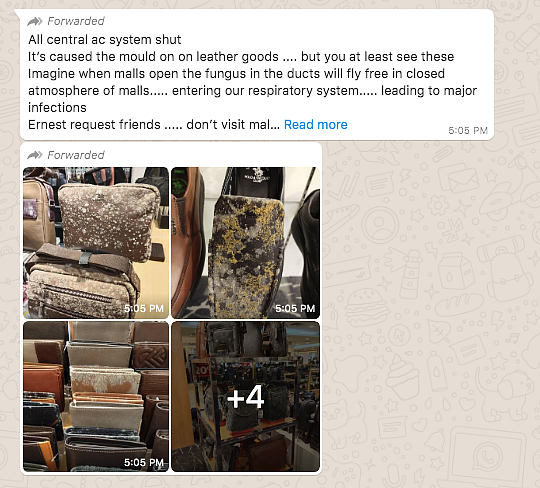 Fungus on Leather Goods in Malaysian Mall Claimed to Be From India