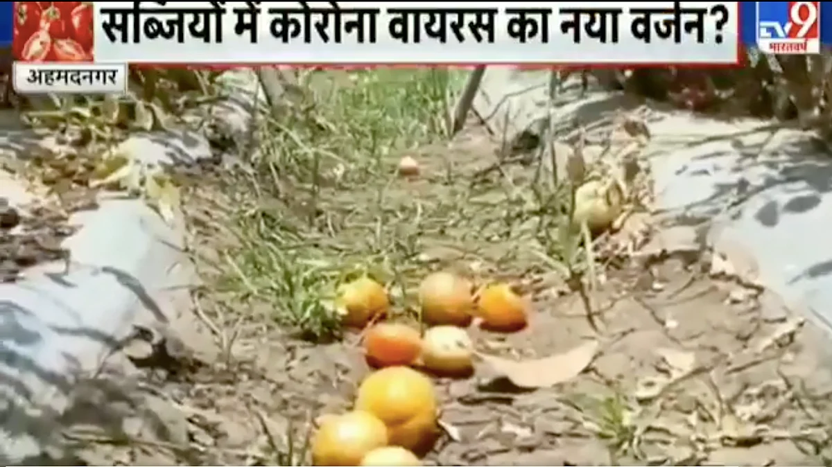 TV9 Bharatvarsh Falsely Claims Tomato Virus Worse Than COVID-19