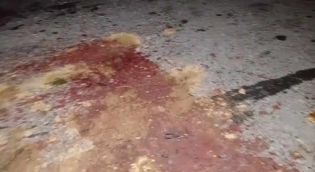 6 Killed As Bus Runs Over Migrant Workers Walking Home in West UP
