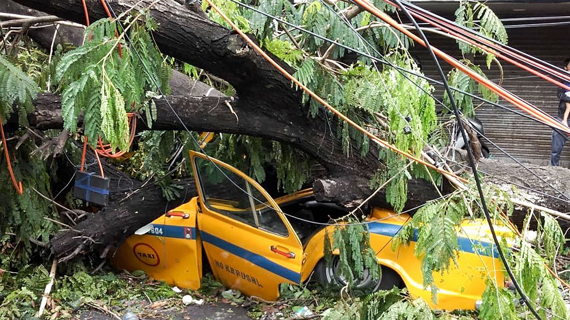 Mangled remains of a taxi after a tree fell on it during Cyclone Amphan, at Dharmatala in Kolkata.&nbsp;