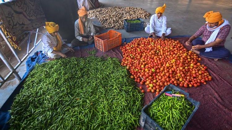 Finance Minister Nirmala Sitharaman, on 15 May, unveiled a slew of measures for the agricultural sector, where the farmers are facing an acute crisis.