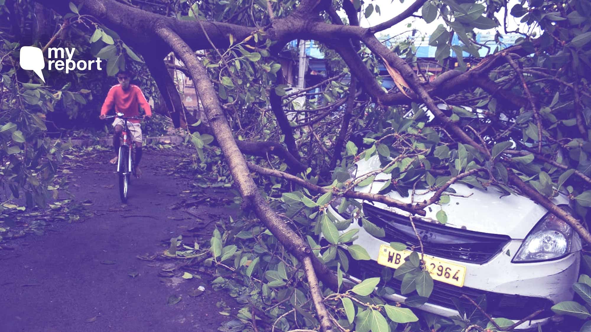 The whole night (20 May) we witnessed Cyclone Amphan hit, it was like a nightmare for my family and me.