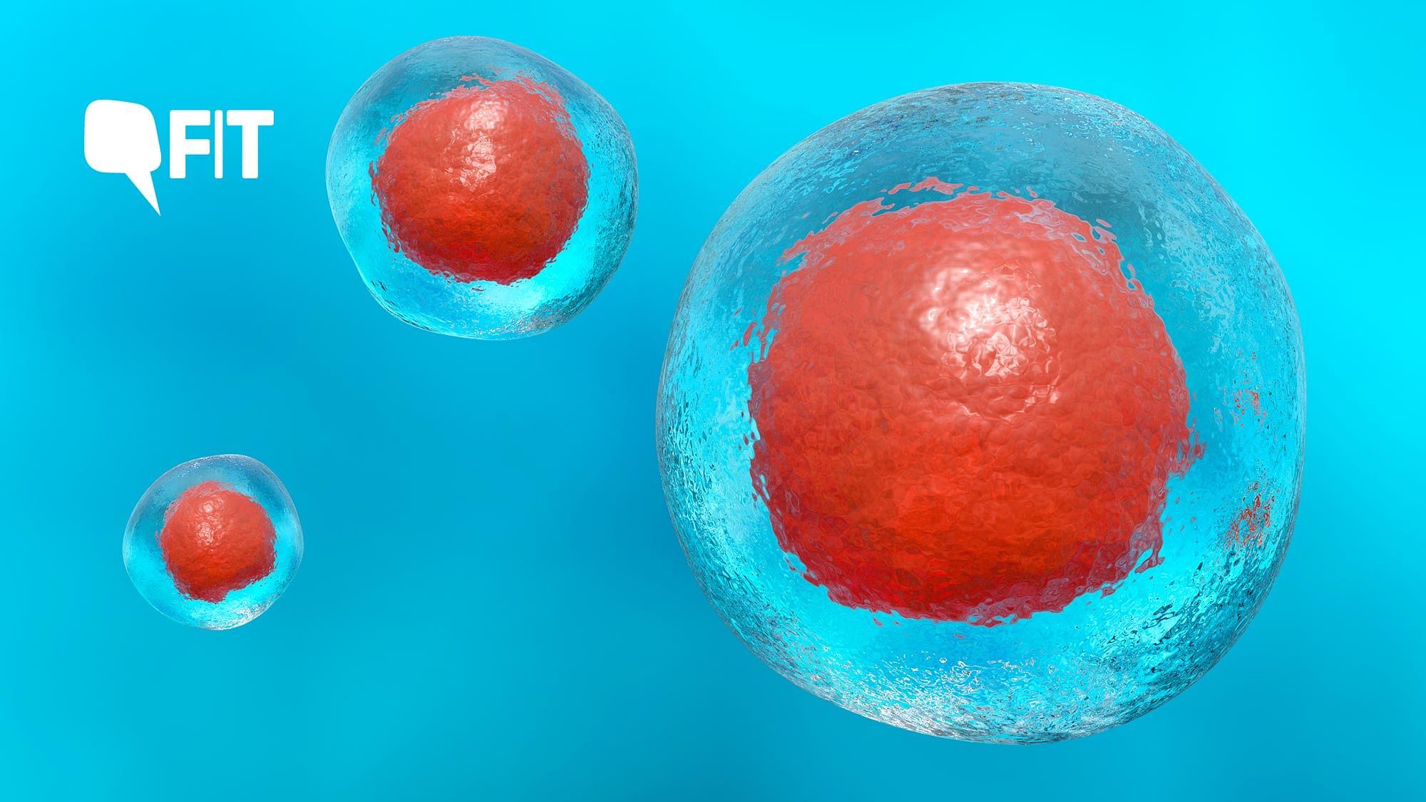 What is the evidence for the efficacy of stem cell therapy and how are doctors approaching the development? FIT explains.
