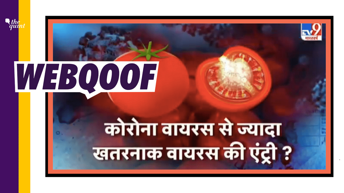 TV9 Bharatvarsh Falsely Claims Tomato Virus Worse Than COVID-19