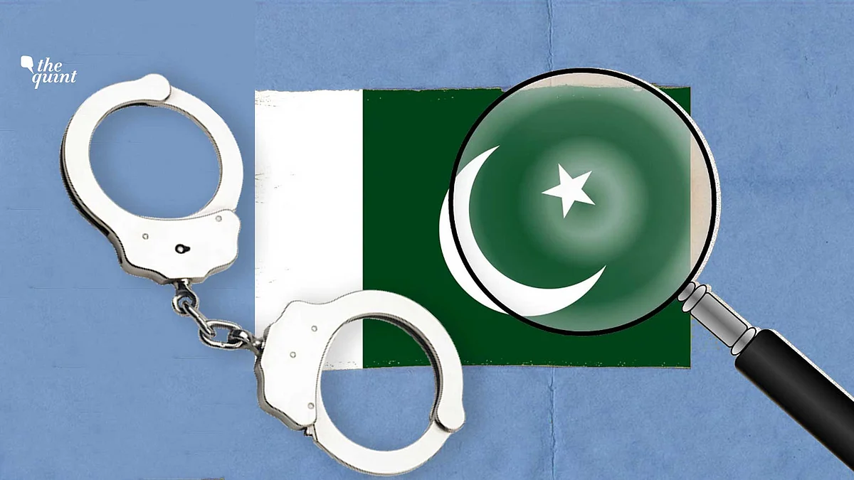 With Pakistan still on the FATF’s grey list, the involvement of its diplomats in illegal activities reflects badly on the nation. Image of Pakistan flag used for representational purposes.